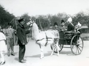 Visiteurs arméniens en balade en charrette tirée par des lamas au Zoo de Londres, mai 1923